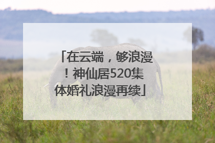 在云端，够浪漫！神仙居520集体婚礼浪漫再续