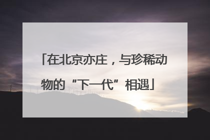 在北京亦庄，与珍稀动物的“下一代”相遇