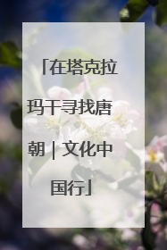在塔克拉玛干寻找唐朝｜文化中国行