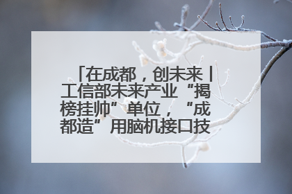 在成都，创未来丨工信部未来产业“揭榜挂帅”单位，“成都造”用脑机接口技术造福孤独症儿童