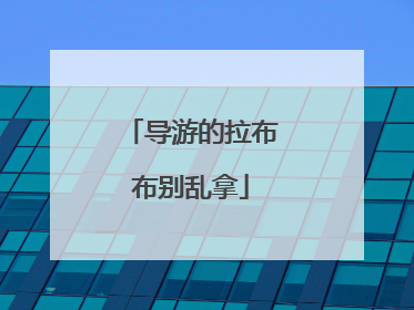 导游的拉布布别乱拿