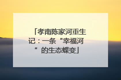 孝南陈家河重生记：一条“幸福河”的生态蝶变