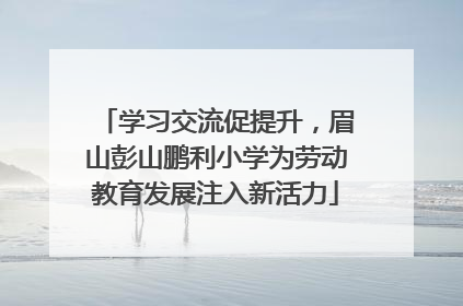 学习交流促提升，眉山彭山鹏利小学为劳动教育发展注入新活力