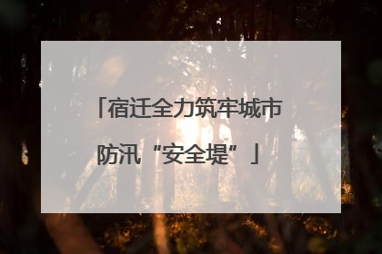 宿迁全力筑牢城市防汛“安全堤”