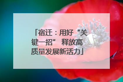 宿迁：用好“关键一招” 释放高质量发展新活力