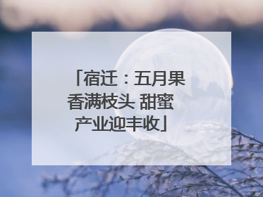 宿迁：五月果香满枝头 甜蜜产业迎丰收