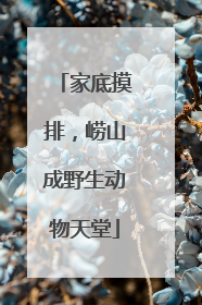 家底摸排，崂山成野生动物天堂