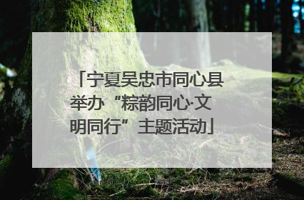 宁夏吴忠市同心县举办“粽韵同心·文明同行”主题活动