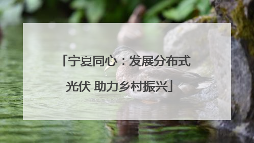 宁夏同心：发展分布式光伏 助力乡村振兴