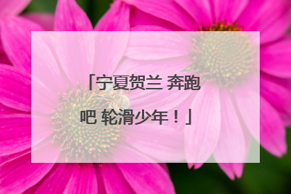 宁夏贺兰 奔跑吧 轮滑少年！