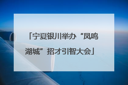 宁夏银川举办“凤鸣湖城”招才引智大会