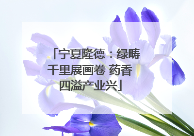 宁夏隆德：绿畴千里展画卷 药香四溢产业兴