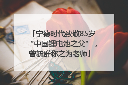 宁德时代致敬85岁“中国锂电池之父”，曾毓群称之为老师
