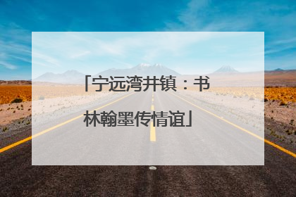 宁远湾井镇：书林翰墨传情谊