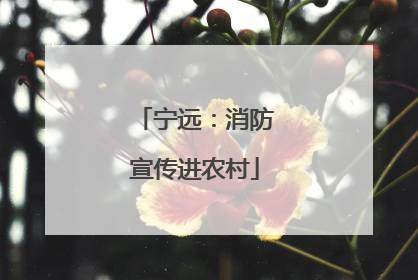 宁远：消防宣传进农村