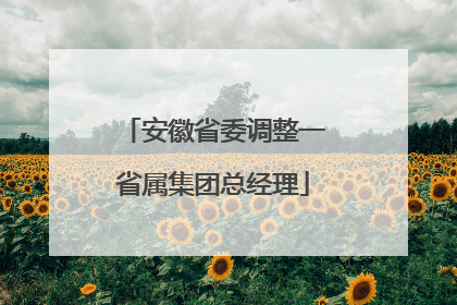 安徽省委调整一省属集团总经理