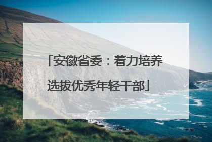 安徽省委：着力培养选拔优秀年轻干部