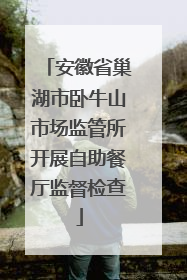 安徽省巢湖市卧牛山市场监管所开展自助餐厅监督检查