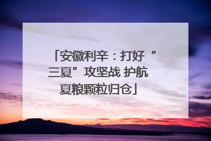 安徽利辛：打好“三夏”攻坚战 护航夏粮颗粒归仓