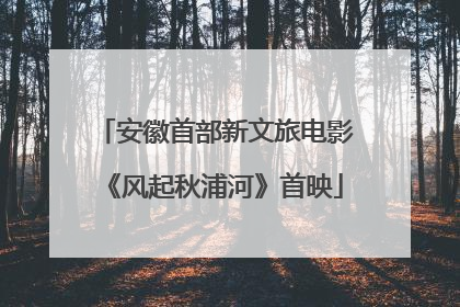 安徽首部新文旅电影《风起秋浦河》首映