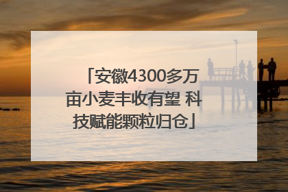 安徽4300多万亩小麦丰收有望 科技赋能颗粒归仓