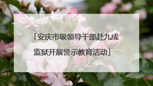 安庆市级领导干部赴九成监狱开展警示教育活动