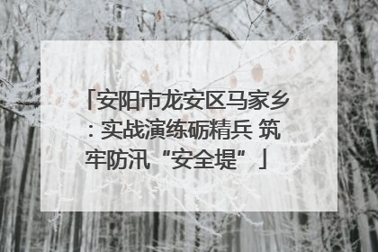 安阳市龙安区马家乡：实战演练砺精兵 筑牢防汛“安全堤”