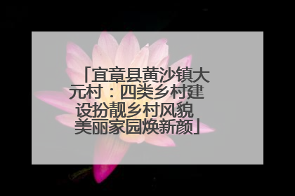 宜章县黄沙镇大元村：四类乡村建设扮靓乡村风貌 美丽家园焕新颜