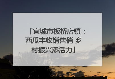 宜城市板桥店镇：西瓜丰收销售俏 乡村振兴添活力