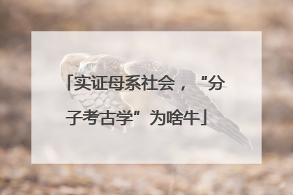 实证母系社会，“分子考古学”为啥牛