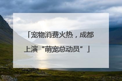 宠物消费火热，成都上演“萌宠总动员”
