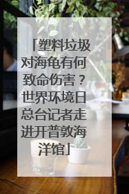 塑料垃圾对海龟有何致命伤害？世界环境日总台记者走进开普敦海洋馆