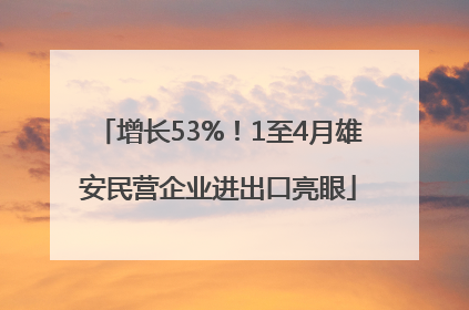 增长53%！1至4月雄安民营企业进出口亮眼