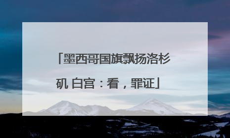 墨西哥国旗飘扬洛杉矶 白宫：看，罪证
