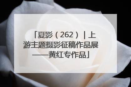夏影（262）｜上游主题摄影征稿作品展——黄红专作品