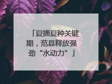 夏播夏种关键期，范县释放强劲“水动力”