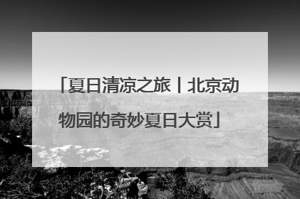 夏日清凉之旅丨北京动物园的奇妙夏日大赏