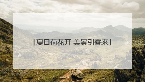夏日荷花开 美景引客来
