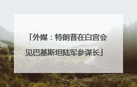 外媒：特朗普在白宫会见巴基斯坦陆军参谋长