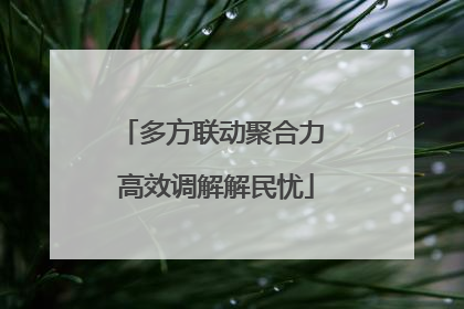 多方联动聚合力 高效调解解民忧