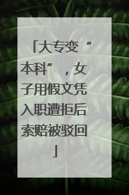 大专变“本科”，女子用假文凭入职遭拒后索赔被驳回
