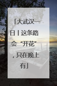 大武汉一日丨这条路会“开花”，只在晚上有