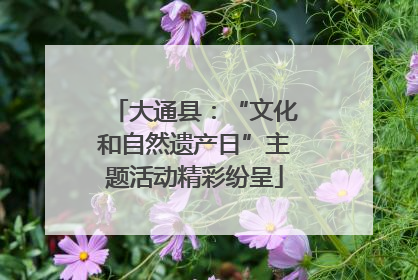 大通县：“文化和自然遗产日”主题活动精彩纷呈