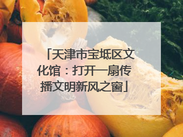 天津市宝坻区文化馆：打开一扇传播文明新风之窗