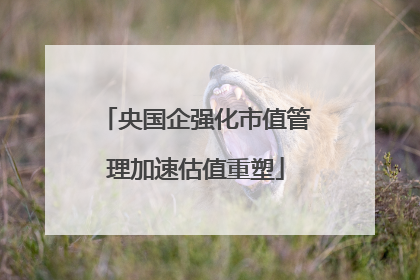 央国企强化市值管理加速估值重塑