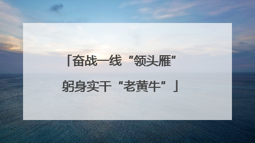 奋战一线“领头雁” 躬身实干“老黄牛”