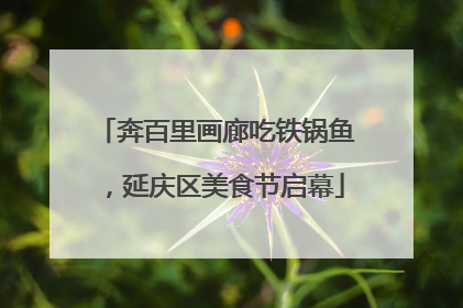 奔百里画廊吃铁锅鱼，延庆区美食节启幕