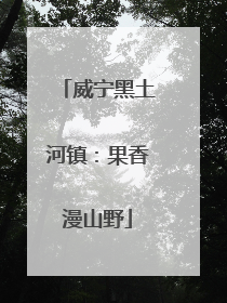 威宁黑土河镇：果香漫山野