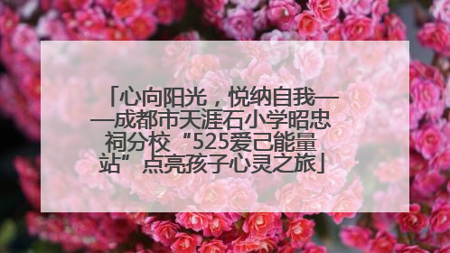 心向阳光，悦纳自我——成都市天涯石小学昭忠祠分校“525爱己能量站”点亮孩子心灵之旅