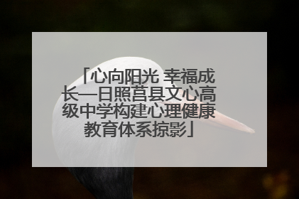 心向阳光 幸福成长—日照莒县文心高级中学构建心理健康教育体系掠影